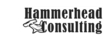 hammerhead consulting SEO & eCommerce