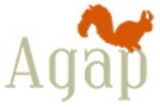 agap.de: gute Web-Zeiten für Gründer!
