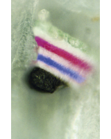 der weltweit kleinste Mikro-Farbcode SECUTAG
