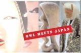 Plakat OWL meets Japan