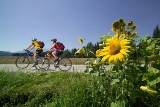 Elektro-Bikes sind ideal, um längere Strecken zu fahren. (© Region Klopeiner See - Südkärnten)