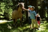 Kinder auf dem Ponyerlebnisweg