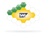 Forderungsmanagement mit SAP