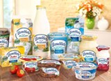 FrieslandCampina verfügt über eine breite Angebotspalette von mehr als 30 Marken.