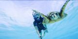 Tauchen mit einer Schildkröte: Mara auf den Malediven