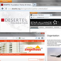 Beispiele für erfolgreiche Kooperationen (Website-Screenshots): Desertec, die „Star-Alliance“ und der Verbund „Mein Ziegelhaus“.