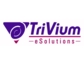 TriVium eSolutions aus Indien geht Partnerschaft ein mit Let’s Bridge IT, einem deutschen Unternehmen