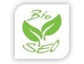 Bio SEO – Suchmaschinenoptimierung im grünen Bereich 
