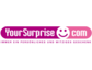 YourSurprise.com beginnt Zusammenarbeit mit KLM