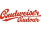 „Fashion and Boards“ – Budweiser Budvar präsentiert sich im Rahmen der Fashion Week 2014  in Berlin auf der BRIGHT Tradeshow  
