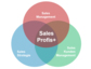 Neues Unternehmen mit Erfolgsgarantie für Sales-Projekte: Gründung von SALES PROFI+