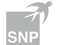 IT-Innovationspreis 2012 - SNP Software beschleunigt IT-Umstellungen
