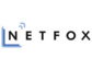 FOCUS Spezial: NETFOX AG als Wachstumschampion 2016 ausgezeichnet