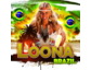 Loona - Brazil