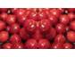 Cranberry – Kleine Frucht mit großen Kräften