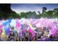 public:news betreut das Holi Festival of Colours
