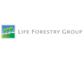 Transparent: Forstinvestments bei Liechtensteiner Stiftung