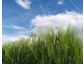 Proplanta erweitert das Profi-Wetter um zusätzliche Agrarwetter-Informationen