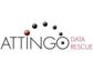 Attingo rettet Daten aus RAID- und Legacy-Systemen