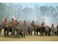 Thailand-Sonderreise zum Elefantenfest nach Surin vom 16. - 26.11.2009