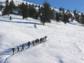 Winterurlaub mit Genuss - Schneeschuhwandern, Knödelkochkurs und ein Besuch im „Beerenreich“ in den Dolomiten