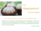 Ihr Wellness Magazin: Die außergewöhnlichen Wirkungen der Mangostanfrucht