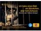 Pedigree startet Vermittlungsaktion von Tierheim-Hunden