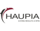 ARITHNEA launcht neue Suchlösung "HAUPIA"