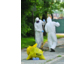Schweinegrippe Pandemie - so sind Firmen und Gemeinschaftseinrichtungen gut vorbereitet