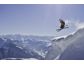 Kitzbüheler Alpen: Weltberühmte Pisten, doppelte Schneesicherheit