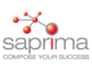 saprima® - die professionelle Erweiterung zu MS Project und anderen Standardsystemen