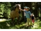 Die neue Ponyalm: Pferdestarke Familienferien auf dem Katschberg 