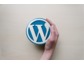 Das Leistungsspektrum der WordPress-Agentur inappix 