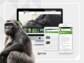 Responsive Relaunch von berggorilla.org
