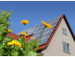 Photovoltaik-Großhändler Libra Energy eröffnet Verkaufsbüro in Deutschland