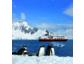 Nansen-Amundsen-Jahr 2011: Hurtigruten auf den Spuren der Polarpioniere