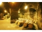 „Klimaneutrale“ Weine aus Österreichs ältestem Weingut
