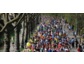 Ultras eröffnen in Freiburg: Wer 2013 lange laufen will, beginnt seine Saison mit dem Freiburg Marathon