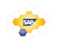 Produktvorstellung: Bürgel Connect 4.0 für SAP