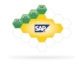 Modernes und effizientes Forderungsmanagement mit SAP