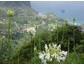 Früh buchen, viel sparen mit Blaguss: Wöchentliche Direktflüge nach Madeira 