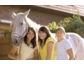 Ein Pferd für Zwei oder Drei - Informationen zur Reitbeteiligung und Pferdehaftpflichtversicherung