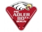 Adler Jugend dominiert die Berliner Pool-Szene