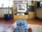 Abschaltung analoges Sat-Fernsehen im April 2012 - Umstellung auf digitales Fernsehen