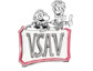 VSAV e. V. mit neuem automatischem Strafrechtsschutz für Mitglieder