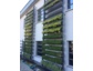 "Großstadt-Dschungel" neu definiert:  Mit cityLam werden Häuserfassaden zu grünen Luftreinigern 