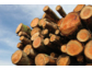 Sale & Lease Back: Finanzierung für die Forstwirtschaft 